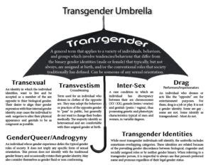 what is a shemale|Frequently Asked Questions about Transgender People